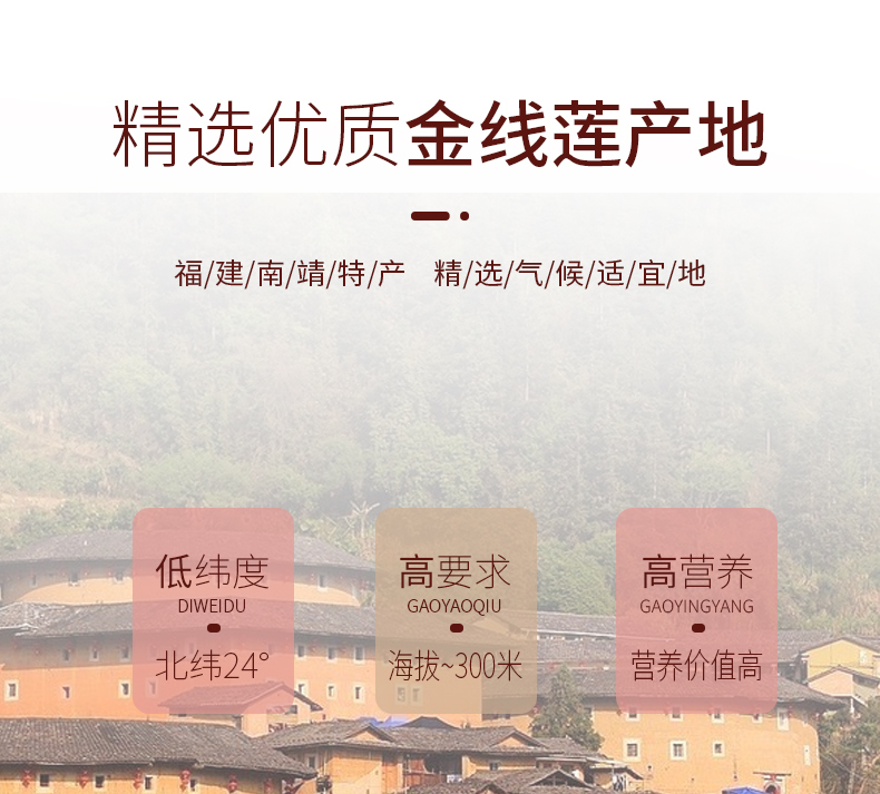 開花<a href=http://www.zyelectronicshk.com/ target='_blank'>金線蓮</a>干品