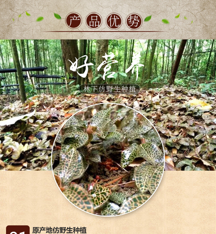 <a href=http://www.zyelectronicshk.com/ target='_blank'>金線蓮</a>干品 20克禮盒裝