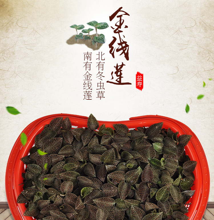 <a href=http://www.zyelectronicshk.com/ target='_blank'>金線蓮</a>鮮品 籃裝
